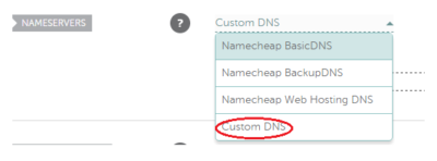 selecting custom name server with NameCheap